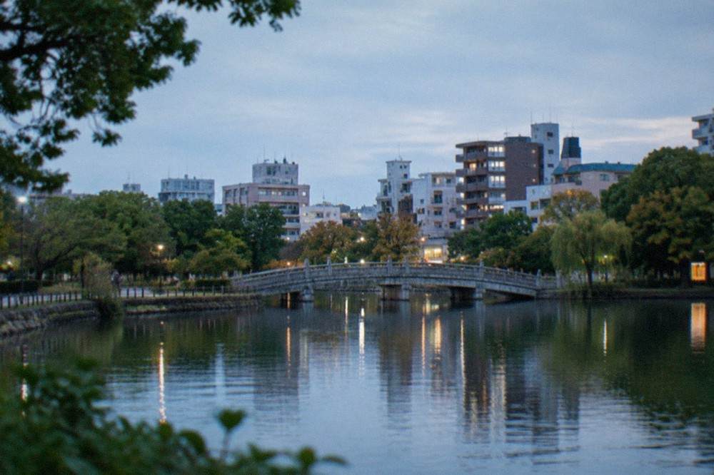 A large pond in a city park with a stone bridge and trees along the shoreline