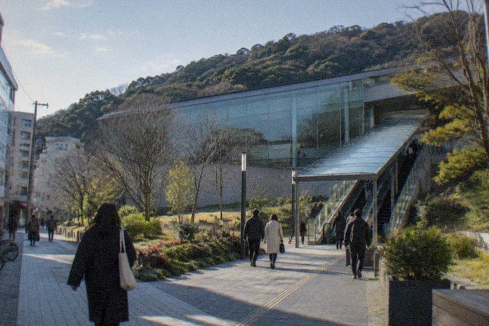 Glass museum facade at the base of a forested hill with an escalator walkway leading to the entrance