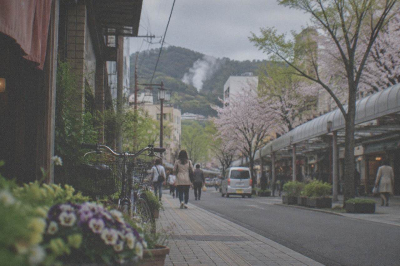 Steam rising from hot spring sources on a forested hillside in Kyushu
