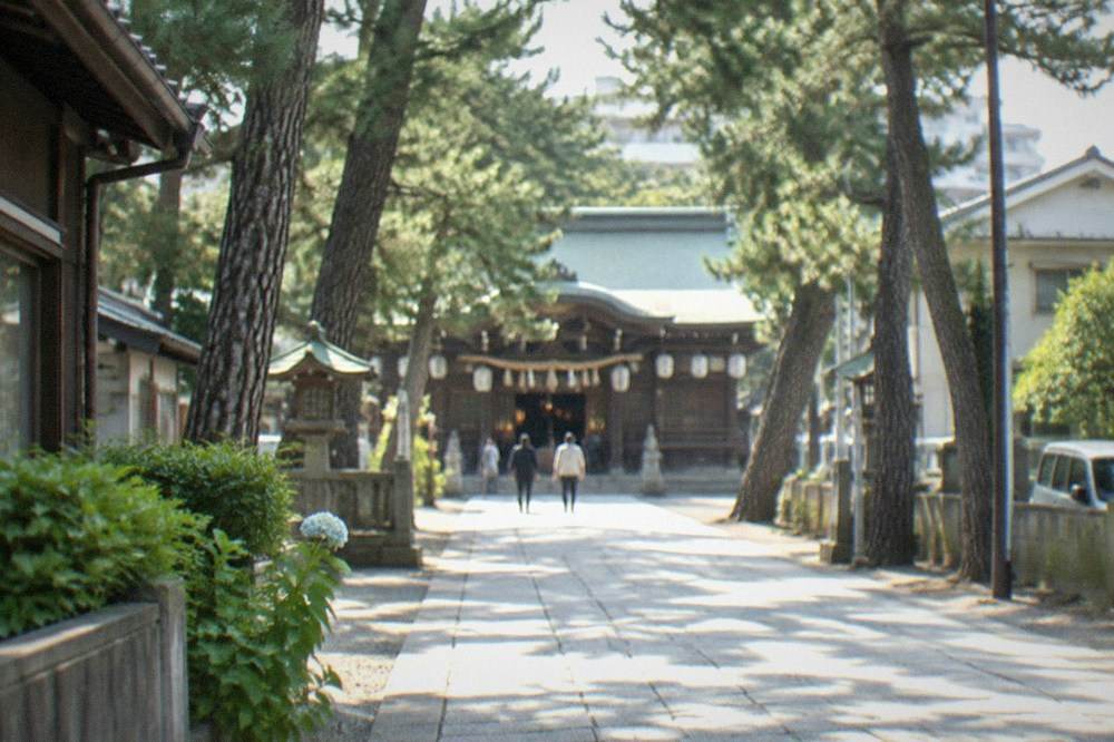 The main hall of a Japanese shrine with a wide wooden facade and lanterns hanging from the eaves