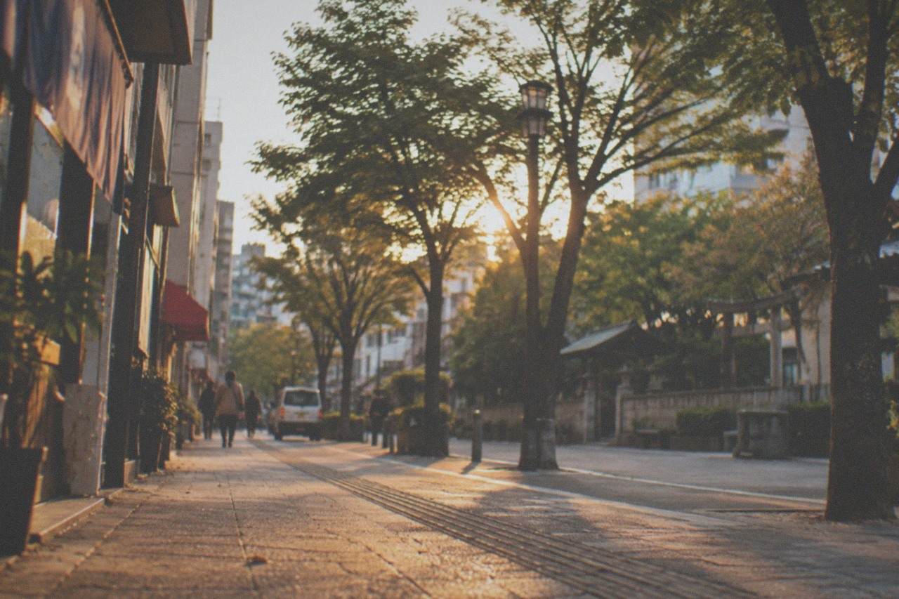A quiet tree-lined street in central Fukuoka with low buildings and a small park visible ahead