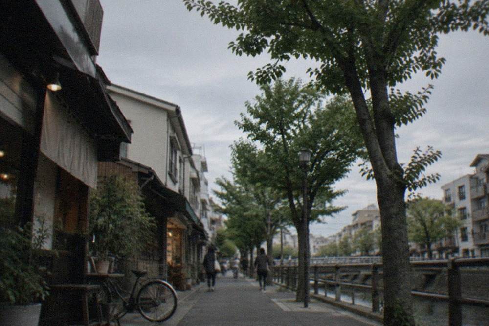 A quiet residential street in Yakuin with small shopfronts and green trees along the pavement