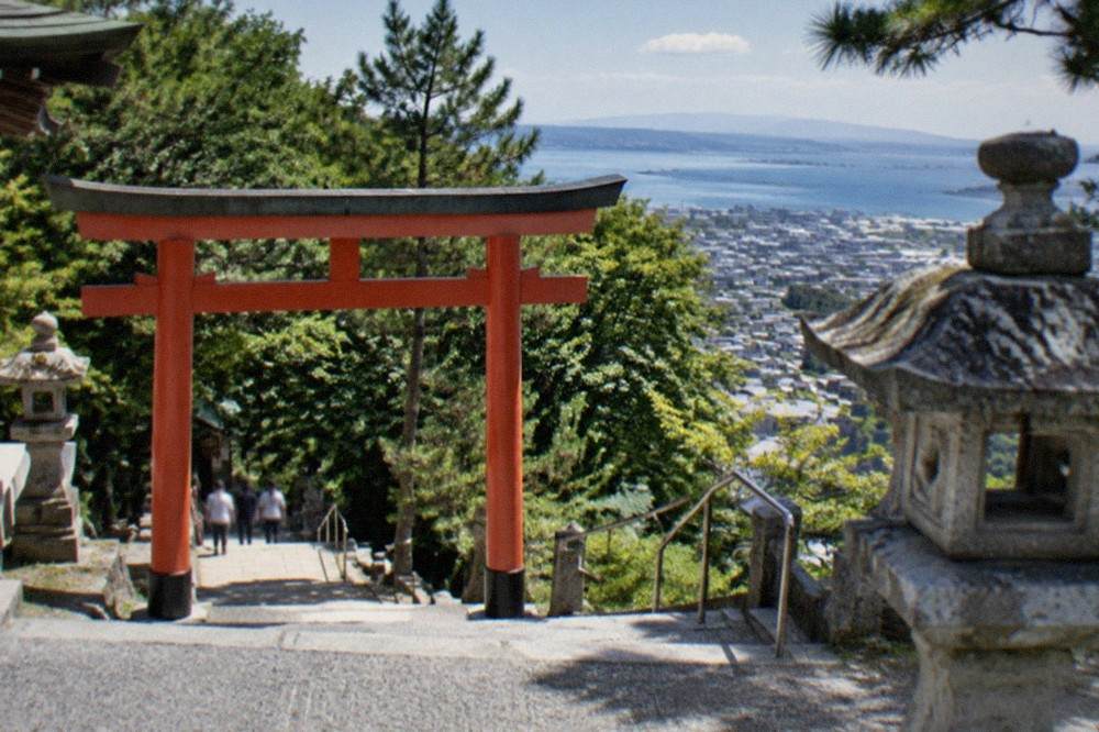 A vermilion torii gate at the base of a stone stairway with dense green forest behind it
