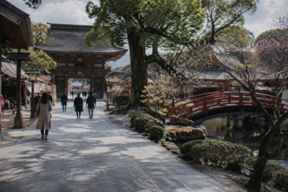 Wide stone approach leading to a wooden shrine gate with trees on both sides
