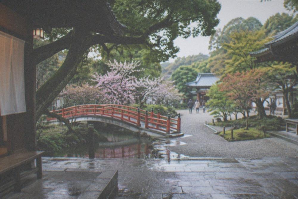 Temple garden with raked moss and maple trees beside wooden buildings