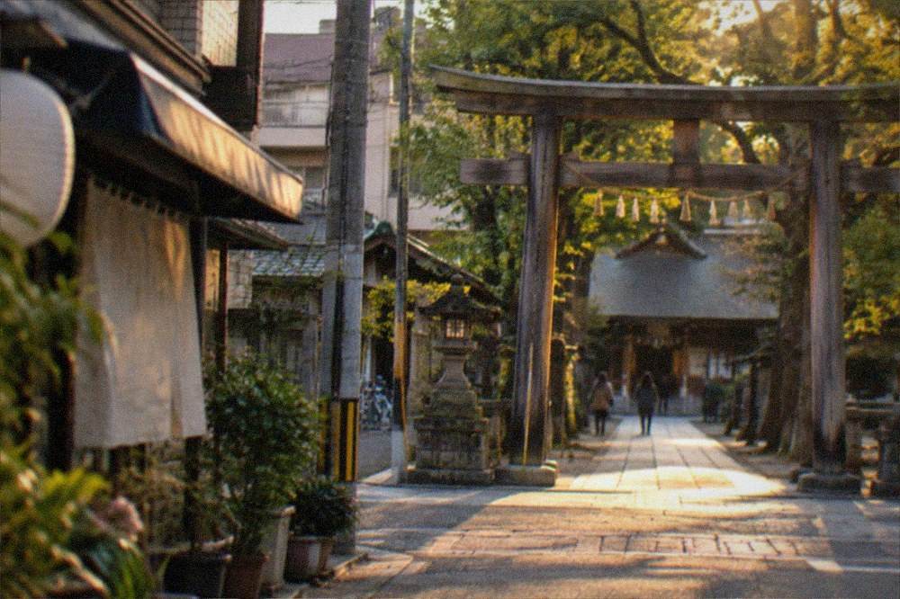 Wooden shrine gate and stone path surrounded by trees in the Hakata district