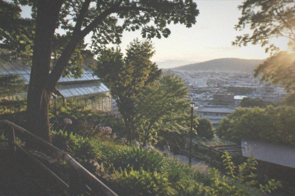 View over city rooftops from an upper walkway in a green park