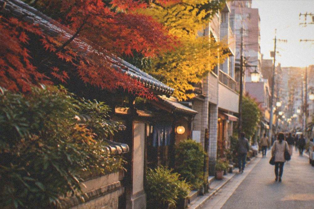 Autumn maple leaves over a traditional tiled roof in Hakata
