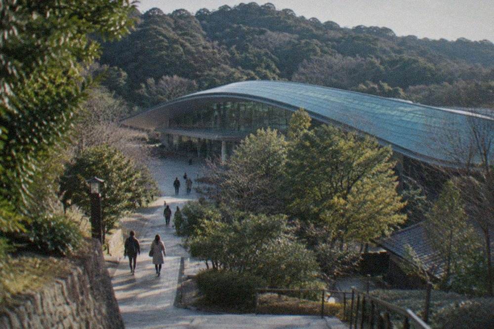Large modern museum building with a sweeping curved roof set against forested hills