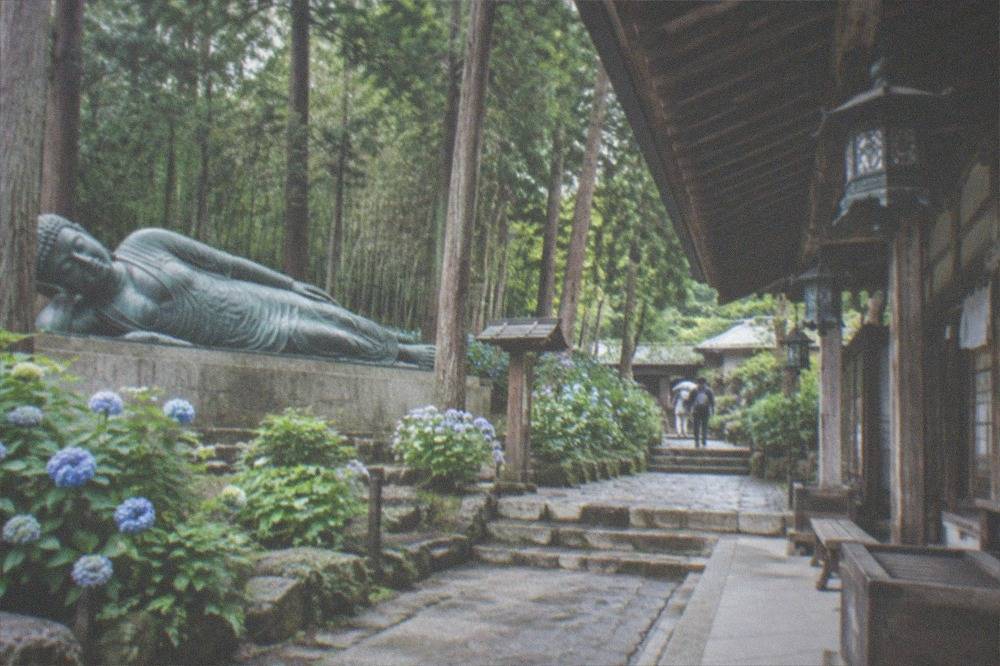 A wooden temple hall with hanging lanterns and offering boxes along a stone path