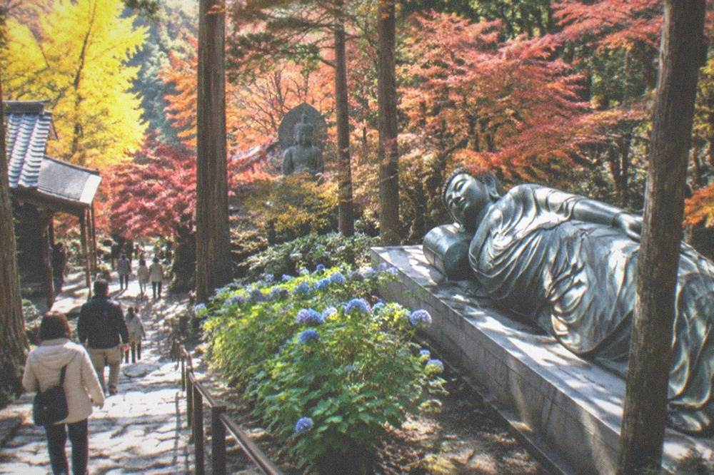 A bronze Buddha statue surrounded by trees showing red and orange autumn foliage