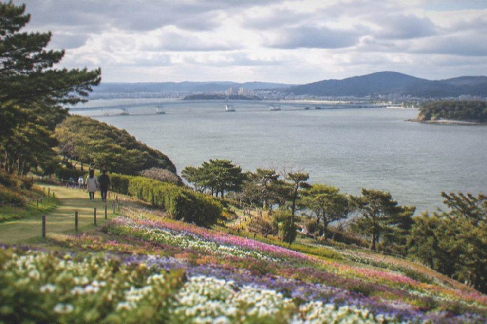 A green hillside park path with the bay and a distant bridge in the background