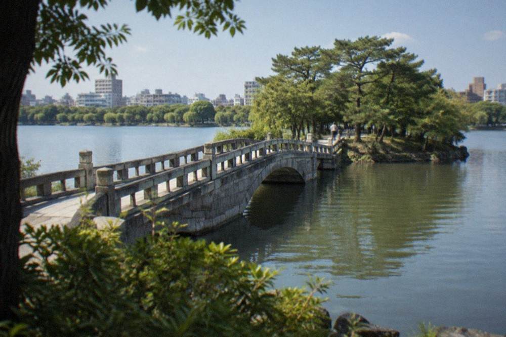 A stone bridge crossing still pond water toward a wooded island