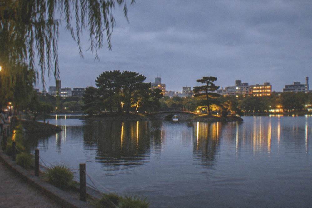 An illuminated pond at dusk with city lights reflecting on the water