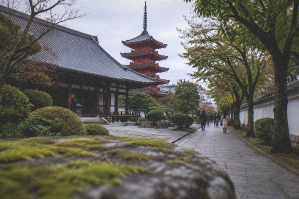 A tree lined path beside a temple wall in soft evening light