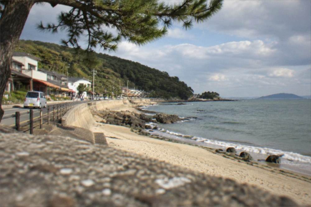 A sandy beach and pine trees on Shikanoshima island in Hakata Bay