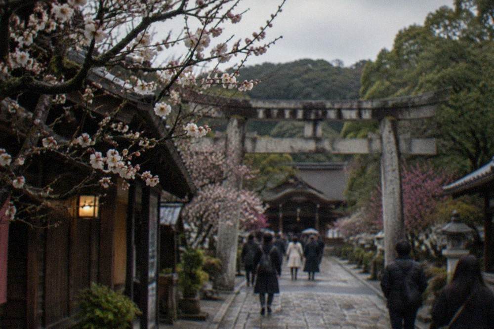 A torii gate and stone path approaching a wooden shrine building under trees