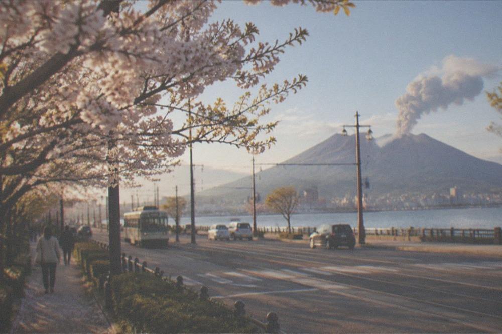 Cherry blossom trees in full bloom along a park path with a distant city skyline