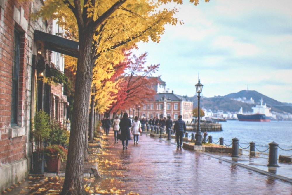 Ginkgo trees with yellow autumn leaves along a brick paved street beside old harbour buildings