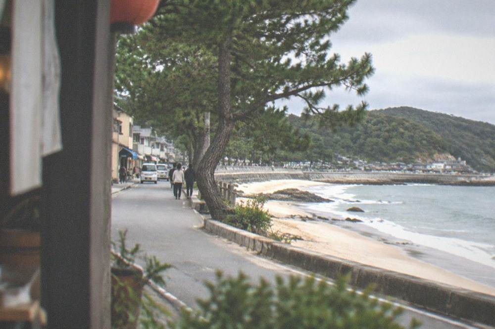 A quiet sandy beach with gentle waves and pine trees leaning along the shoreline