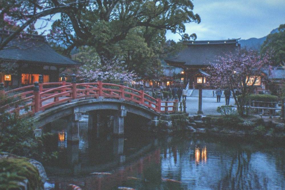 Pond with koi and arched wooden bridge in front of shrine buildings