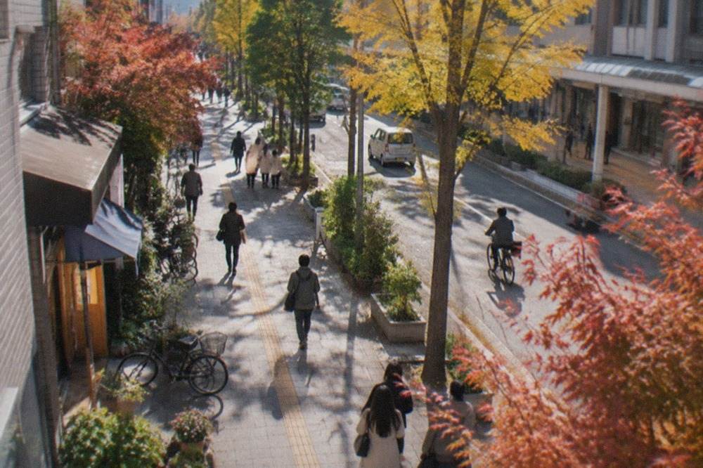 Rows of ginkgo and maple trees with yellow and red foliage along a wide city promenade