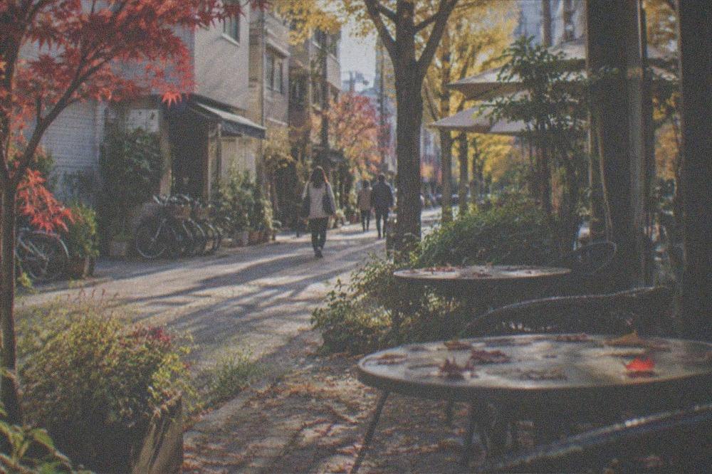 Cafe terrace tables with autumn leaves scattered across a garden patio