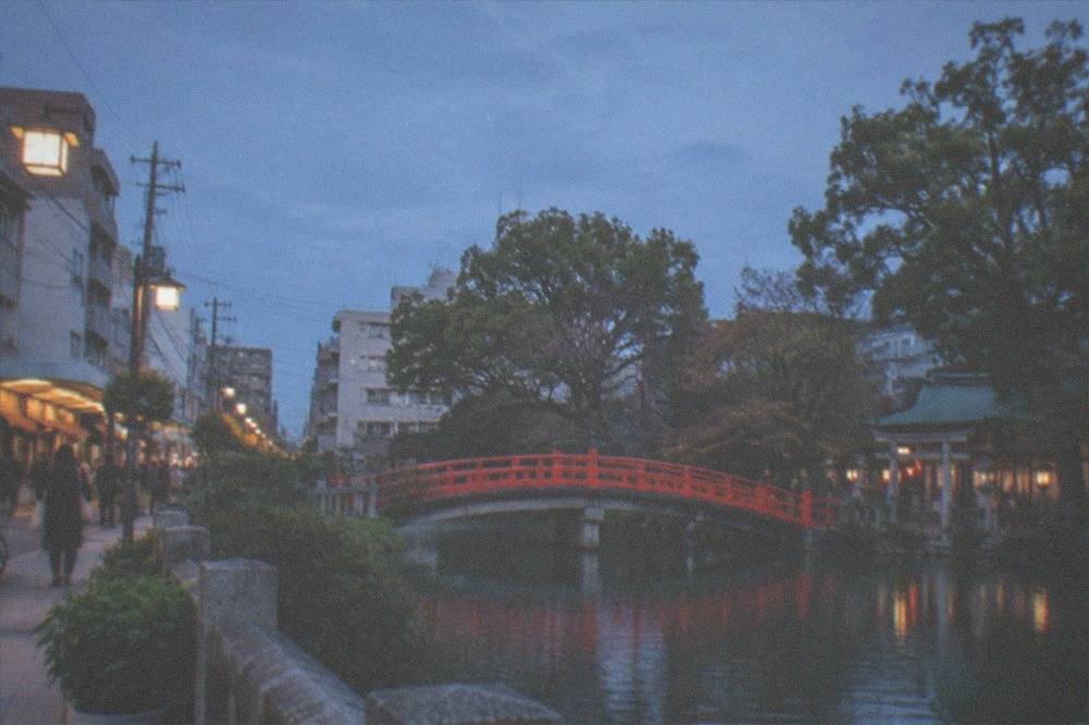 Red arched bridge over a pond in front of a shrine among trees