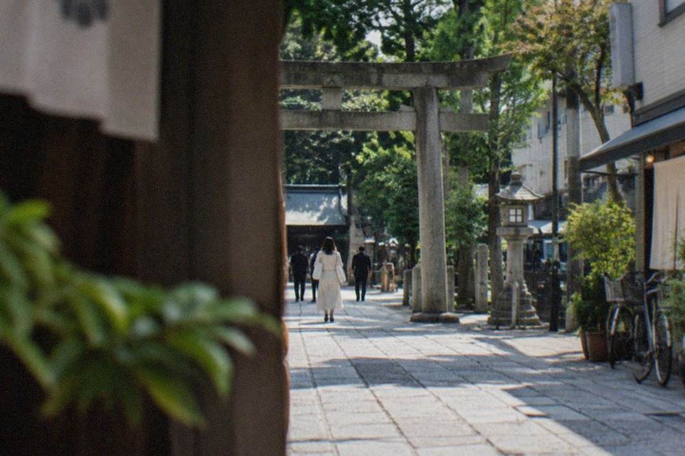 Stone path leading to a wooden shrine gate surrounded by trees