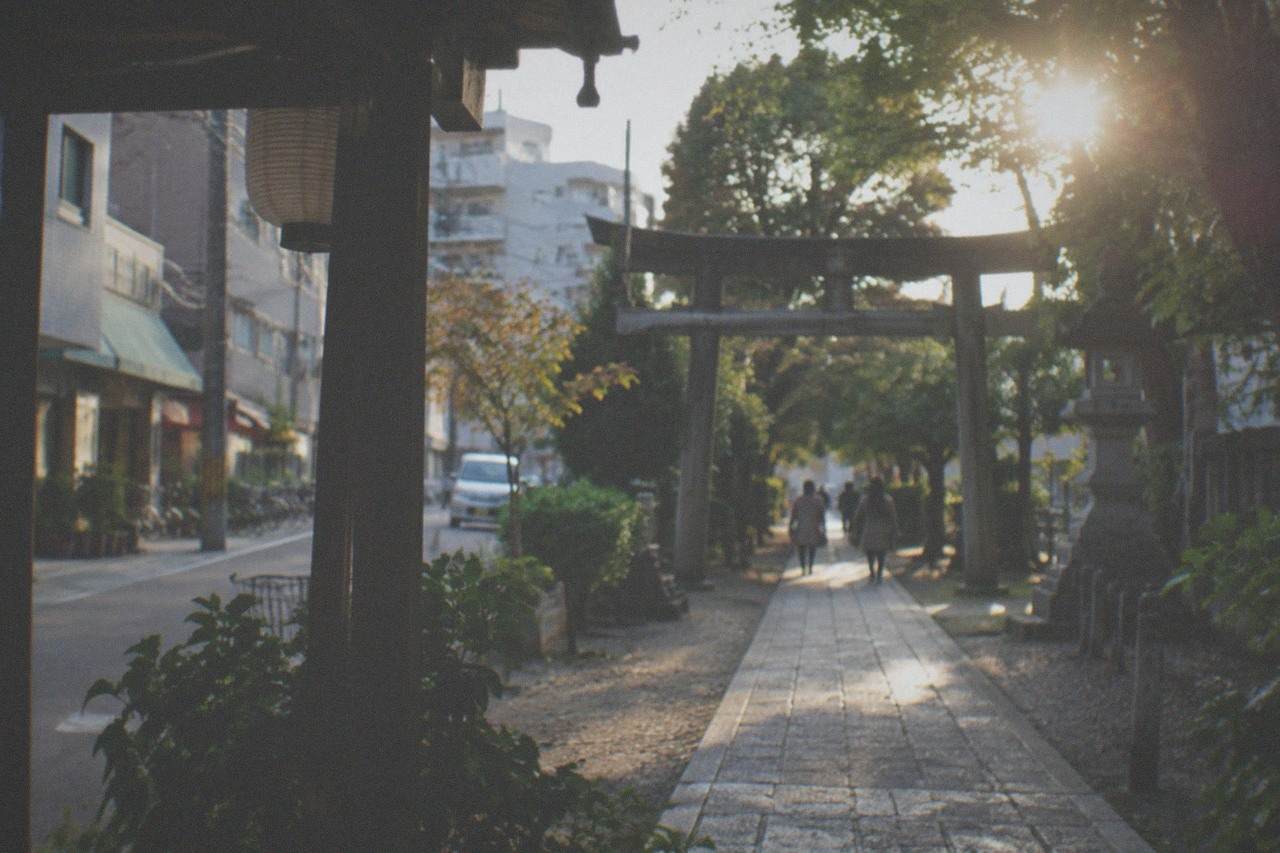 Stone path leading to a wooden shrine gate surrounded by trees