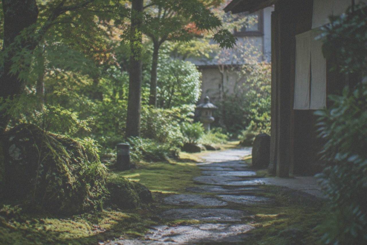 A narrow stone path leading through dense green moss and maple shade in a quiet Japanese garden