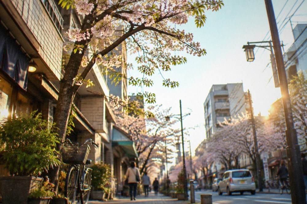 Cherry blossom branches against a clear blue sky over a city skyline