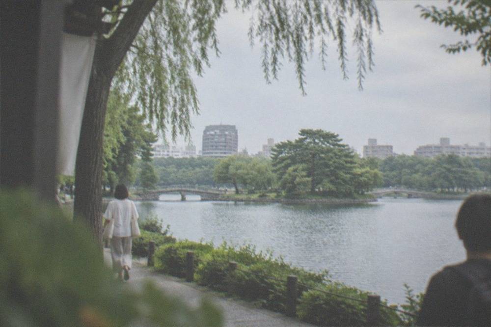 Overcast June morning over Ohori Park lake with lush green trees along the shore