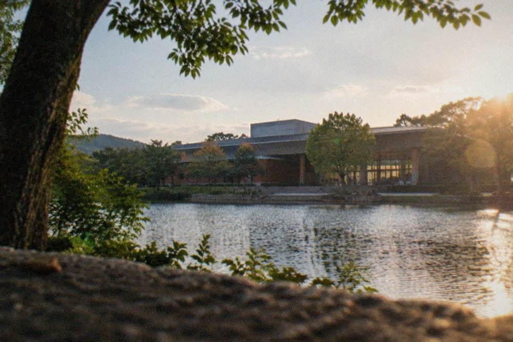View across a park lake toward a modern museum building with trees in the foreground