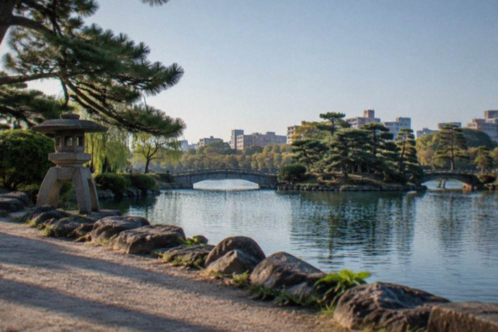 A traditional Japanese garden with a pond, stone lantern and clipped pines