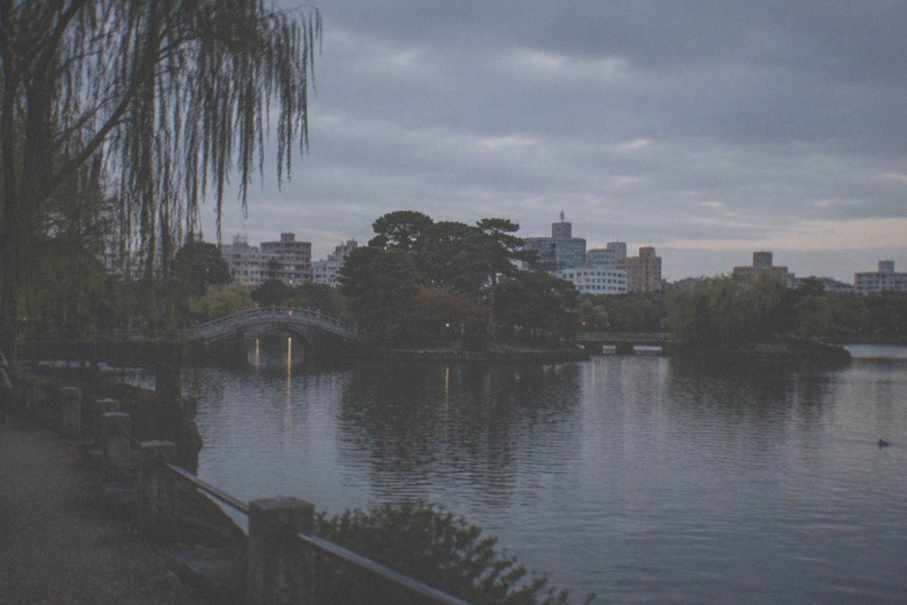 A calm park lake at dusk with a stone bridge and city skyline beyond