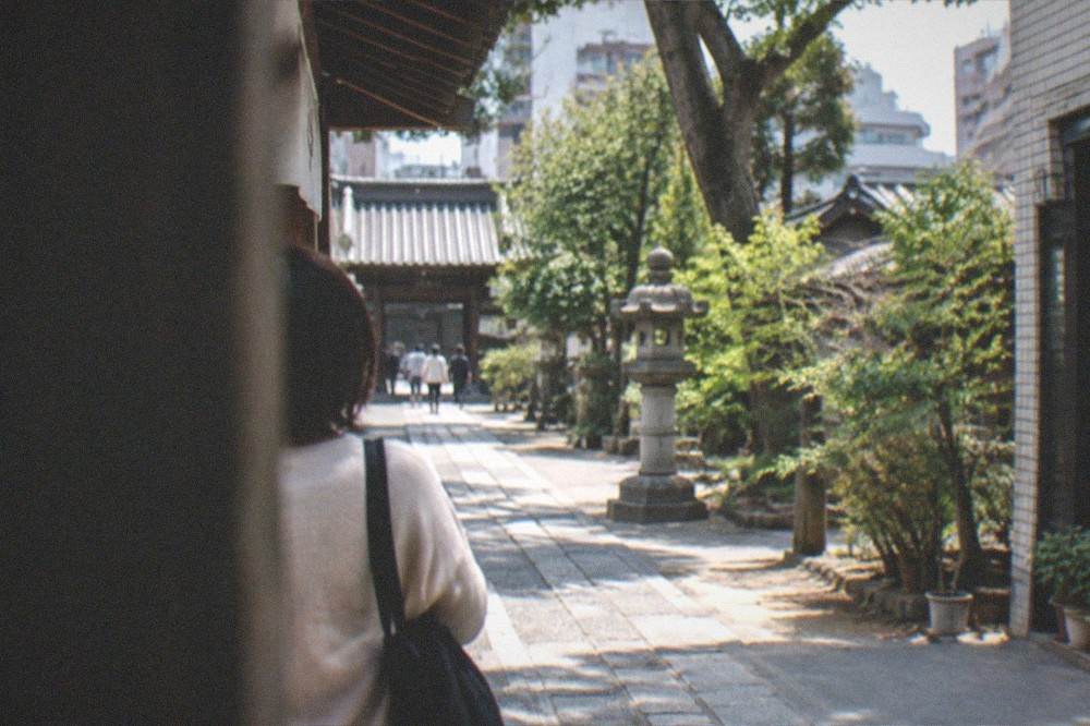 A quiet temple courtyard with stone paths and mature trees in soft afternoon light