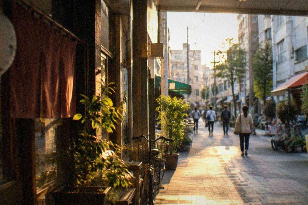 A narrow shopping arcade with hanging signs and small shopfronts in daylight