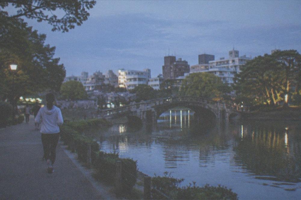 A pond in a Japanese park with a stone bridge and trees along the shoreline